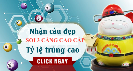 hội đồng chốt cầu ba càng miền bắc đẹp 100