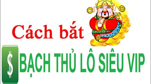 hội đồng chốt cầu lô bạch thủ miền bắc đẹp 100