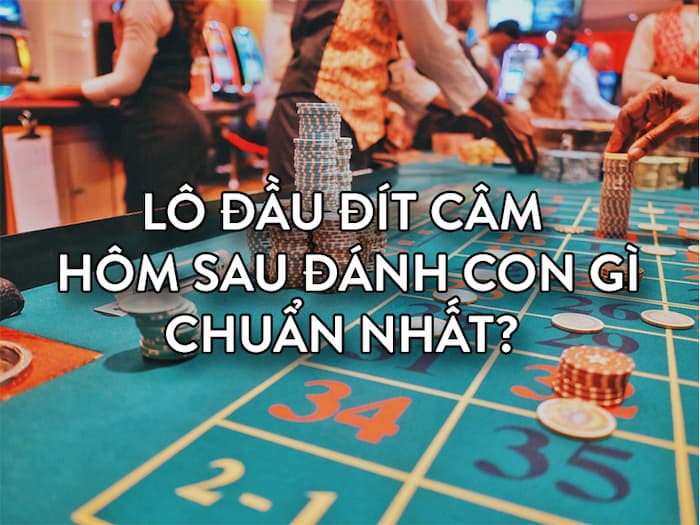 lô đầu đít câm đánh con gì hôm nay