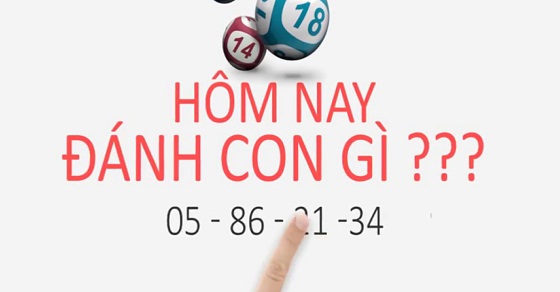 nay đánh con gì? chiều nay đánh con gì dễ trúng